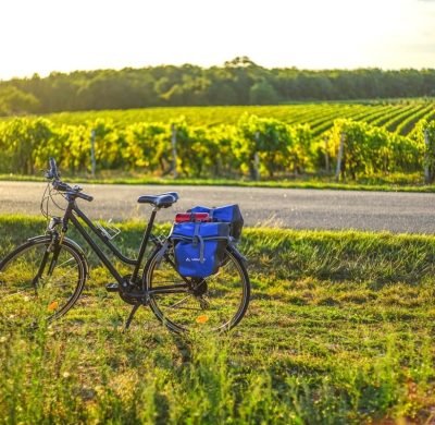 J4.-08.-vigne-sortie-saint-simeux-21-Flow-Velo-Aurelie-Stapf-porteurdesonge.com_ J4.-08.-vigne-sortie-saint-simeux-21-Flow-Velo-Aurelie-Stapf-porteurdesonge.com_